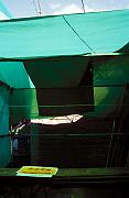Duraznos Finos_ 04